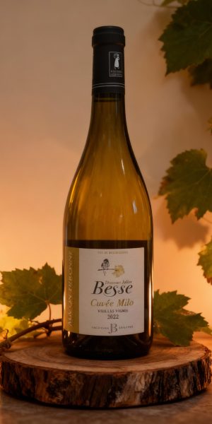 Mâcon Péronne vieilles vignes Cuvée Milo – 2023